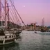 Bodrum marina ve yatlar, restoranlar için QR menü hizmet bölgesi